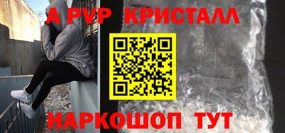 СК Гатчина