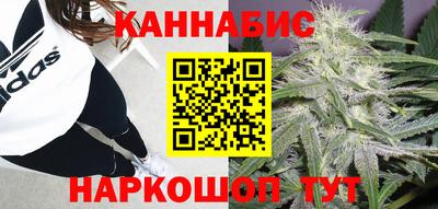 СК Гатчина