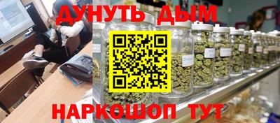 СК Гатчина