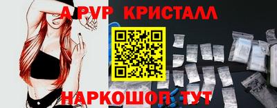 СК Гатчина
