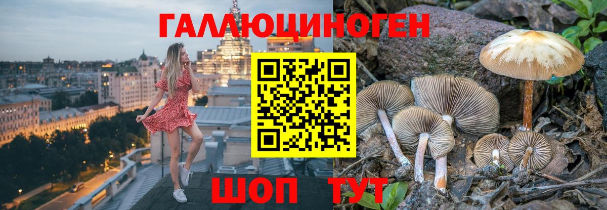 Псилоцибиновые грибы прущие грибы Миллерово